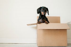 Buy Moving Boxes