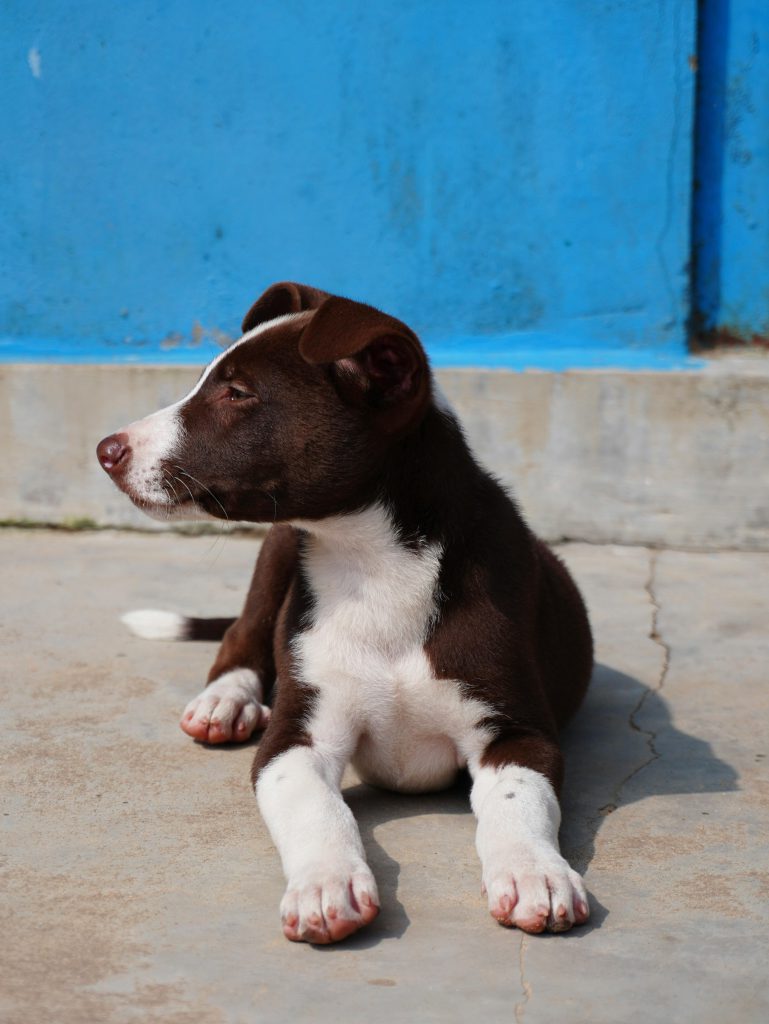 Things you shouldn't store - Consult Rancho San Diego Self Storage. 